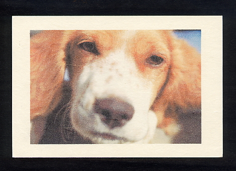 インクジェットプリンタだとこんな感じです。