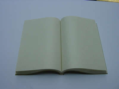 和綴じ帳特大３